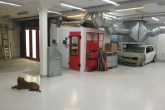 11887952_10207686838278979_7191958733099321537_n